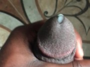 Nicelydick