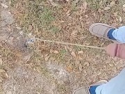 Pee Compilation 1/16