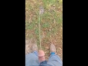 Pee Compilation 4/16