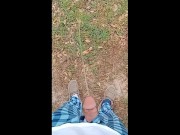 Pee Compilation 6/16