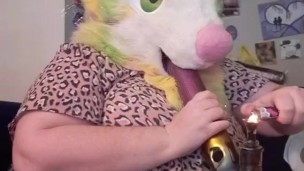 Milkweed’s Water Pipe