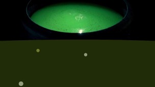 My Halloween costume