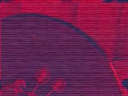 How do you prepare for Halloween? The witch has already bewitched the slave for pleasure