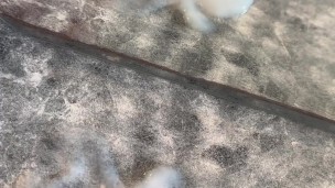 🥇HETERO DOTADO se graba mientras se MASTURBA para su NOVIA 💦 CREAMPIE