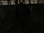 DEPRAVITY RISING - Screenshot 1 of 16 - HD