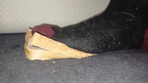 Bread Crush & Trample in Socks. Size 11 feet 89kg male crush 👣👣