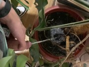 I pee in a monstera pot in the office while everyone else is out for lunch. 12/16