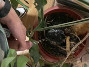 I pee in a monstera pot in the office while everyone else is out for lunch. 14/16