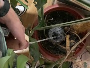 I pee in a monstera pot in the office while everyone else is out for lunch. 7/16