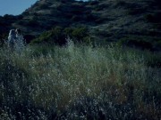 Two blonde divas indulge in a lesbian session during their walk in the woods 1/16