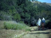 Two blonde divas indulge in a lesbian session during their walk in the woods 16/16