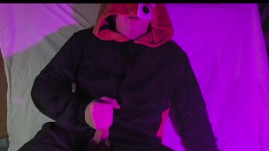 Wild games of red panda