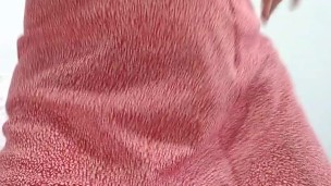 Hot schoolgirl masturbates her hairy ass - 18 years old