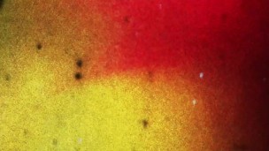 BRAZILIAN TRANSSEXUALS - Lunna DLucca Sensual Solo Play