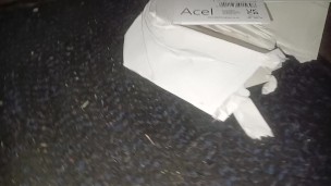 Box Stomp Trample & Crush, flattened under a board by my 89kg size 11 boots 👣👣