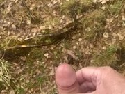 Naked in the nature to see a frend
