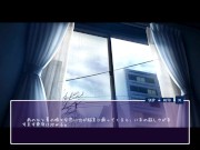 【H GAME】WINTER～田舎の性活♡Hドットアニメーション① フェラ