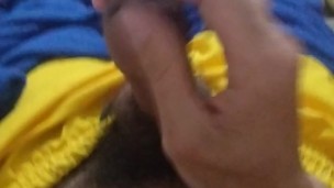 Pajarapida