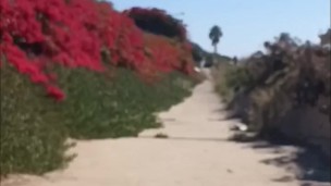 Exhibitionist wife walking and flashing big ass in public again