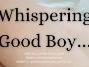 WHISPERING GOOD BOY - Screenshot 3 of 16 - Good Boy
