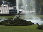 Dee And Christie Share Cock In Interracial Threesome- PervMilfsnTeens