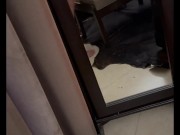 Me cogí a una Policía 14/16