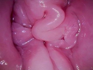 Pussy Coaster – Camera In Vagina