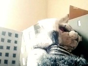 Giant Monster Roadkill!: The Demon Rabbit From Hell!... And His Giant Cock