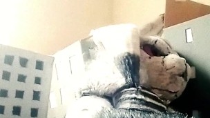 Giant Monster Roadkill!: The Demon Rabbit From Hell!... And His Giant Cock