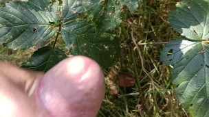 Giving my stepson Aiden a blowjob in public and he fucked me in my ass with cumshot, POV in close up