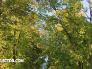 POV threesome Fuck sluts 1/16