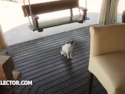 Sexy Pov Hot Sex sluts Zlata Shine 2/16