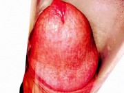 Pumped penis - Screenshot 15 of 16 - Penis Pump