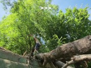 Training Topless 15/16