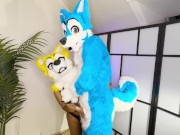 FURRIES IN HEAT MATING , CUM INSIDE