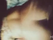 Short compilation  - Screenshot 2 of 16 - BBC