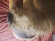 Me Swallowing Chocolate BBC👅 9/16