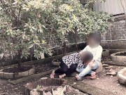 Boyfriend with neighbor chubby lady sex enjoy at forest Boyfriend with neighbor chubby lady sex enjo 7/16