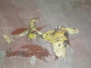 Plastic Bottle Crush & Trample. Flattened under my dirty size 11 boots 👣 14/16