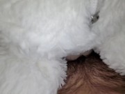 Teaser (fan purchased plushie) full video coming soon 4/16