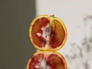 Fruity fun time, let's have fun 12/16