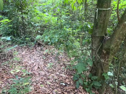 A perfect day with my best friend, we went hiking, laughed and had a lot of sex