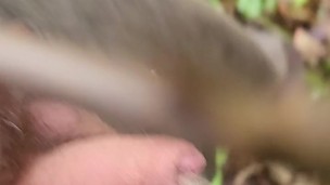 Naughty piss near the path