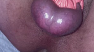 Sissy begs for  cock