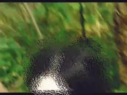 The Forest nymph. Cartoon. 11/16