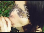 The Forest nymph. Cartoon. 12/16