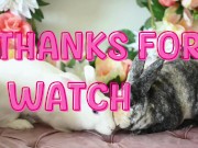 Who the fuck is GoonBunny?