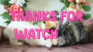 Who the fuck is GoonBunny?