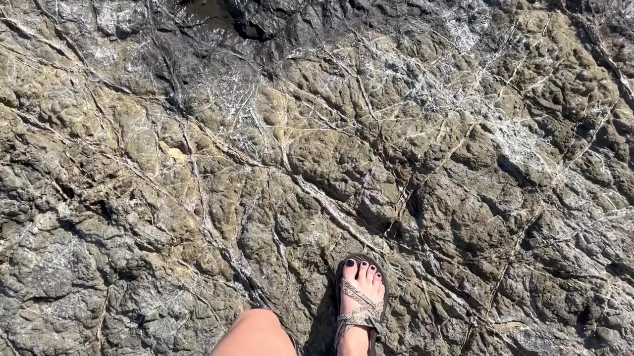 Young Slut Gets Caught Sneaking Away From Family Vacation To Masturbate in Public in Costa Rica - Free Sex Video - RedTube