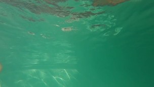 Jock swims in string (no cum)